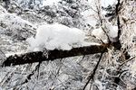 冰雪世界