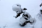 雪景