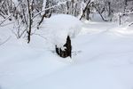冰雪世界
