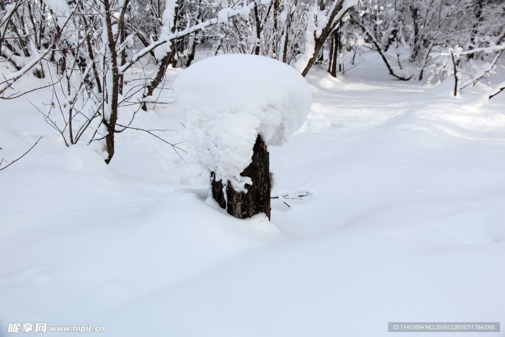 冰雪世界