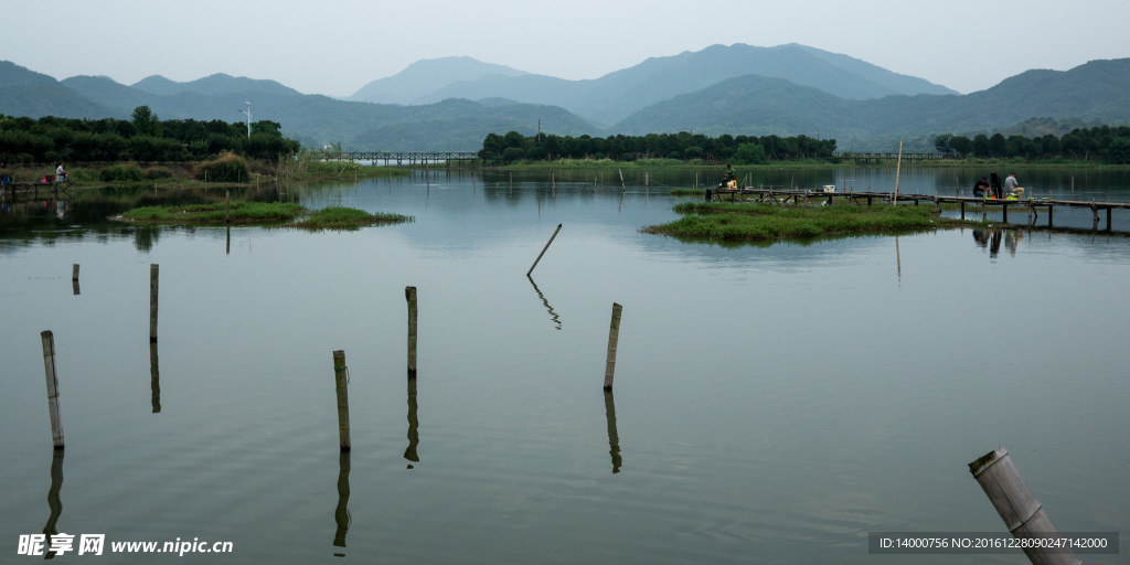 皂李湖风光