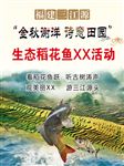 稻花鱼海报
