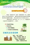 绿色食品药品安全海报