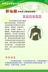 绿色食品药品安全海报