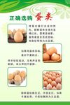 绿色食品安全海报