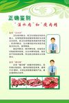 绿色食品安全海报