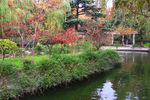 南京总统府西花园