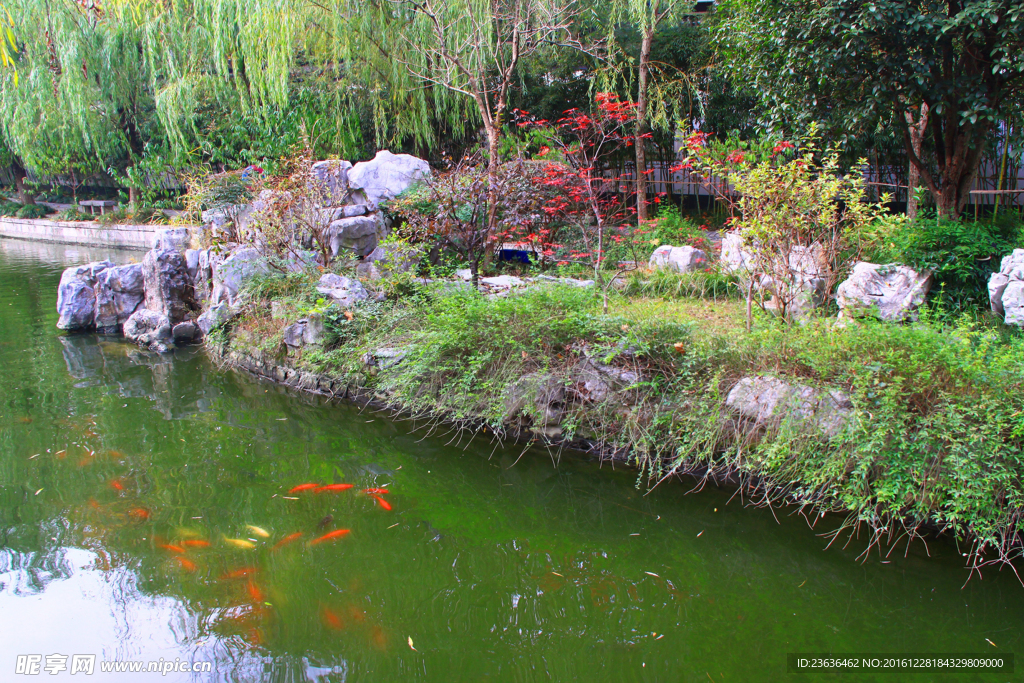 南京总统府 西花园