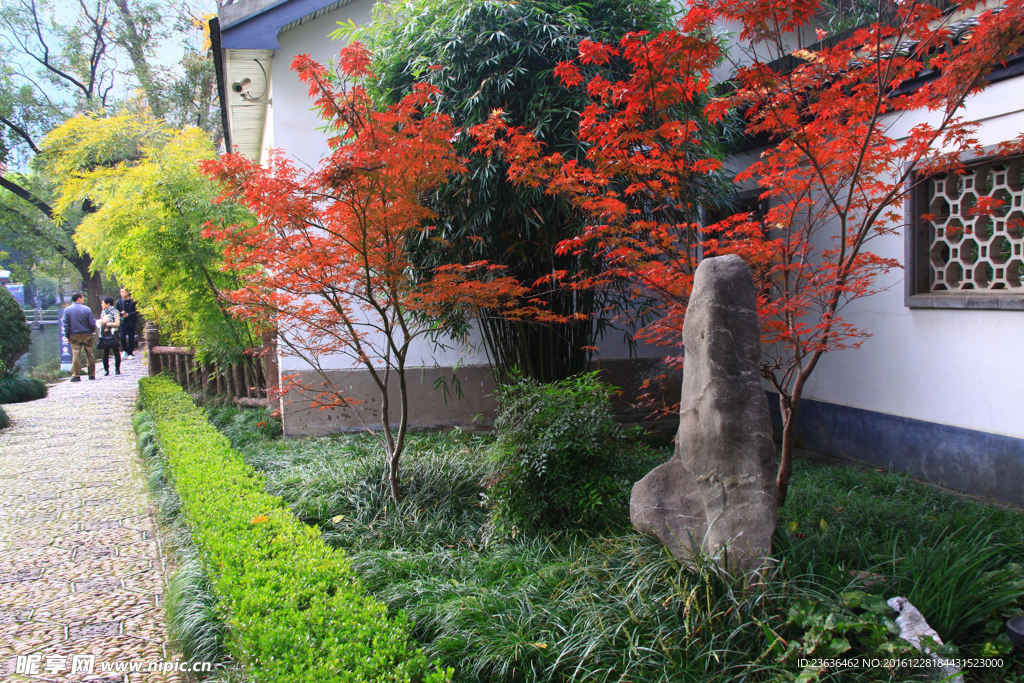 南京总统府 西花园