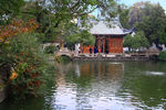 南京总统府 西花园