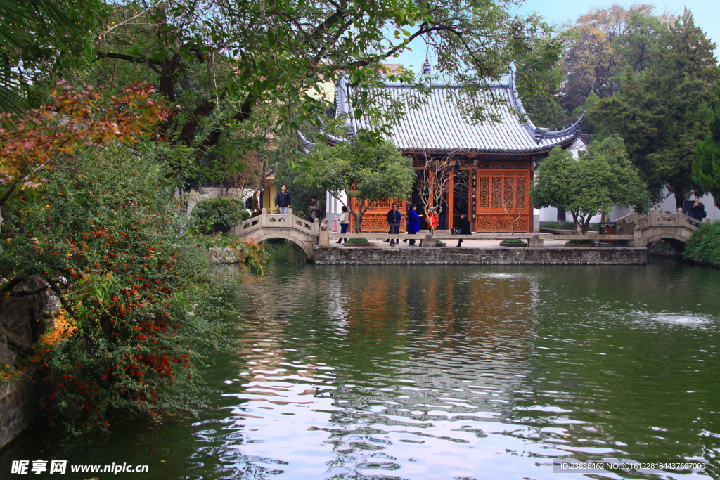 南京总统府 西花园