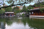 南京总统府西花园