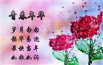 玫瑰花 花朵 鲜花 幻彩背景