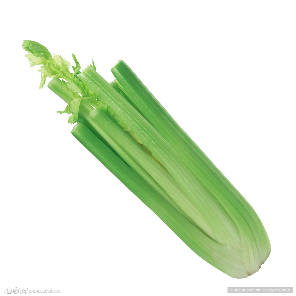 芹菜
