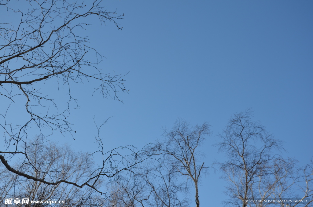 冬日晴空