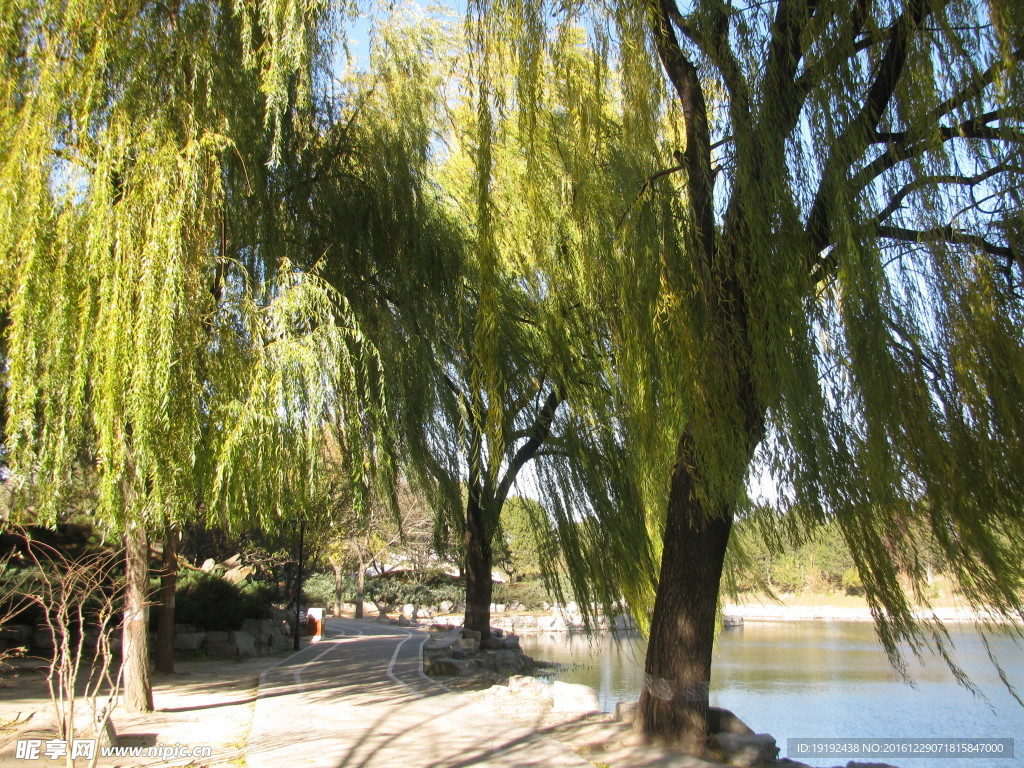 深秋圆明园