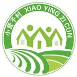 村标