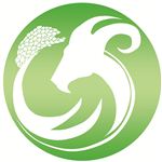 村标
