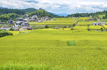 日本田园