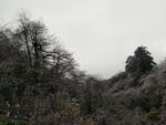 峨眉山