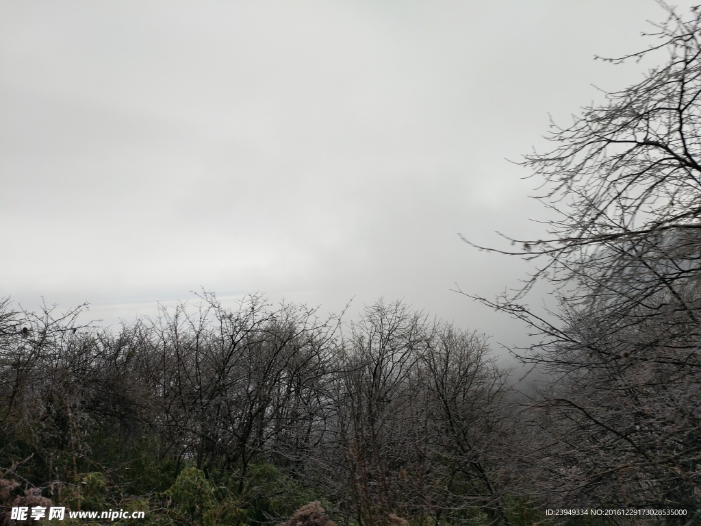 峨眉山上看风景