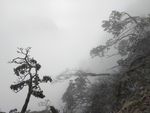 峨眉山猴山