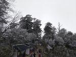 游峨眉山