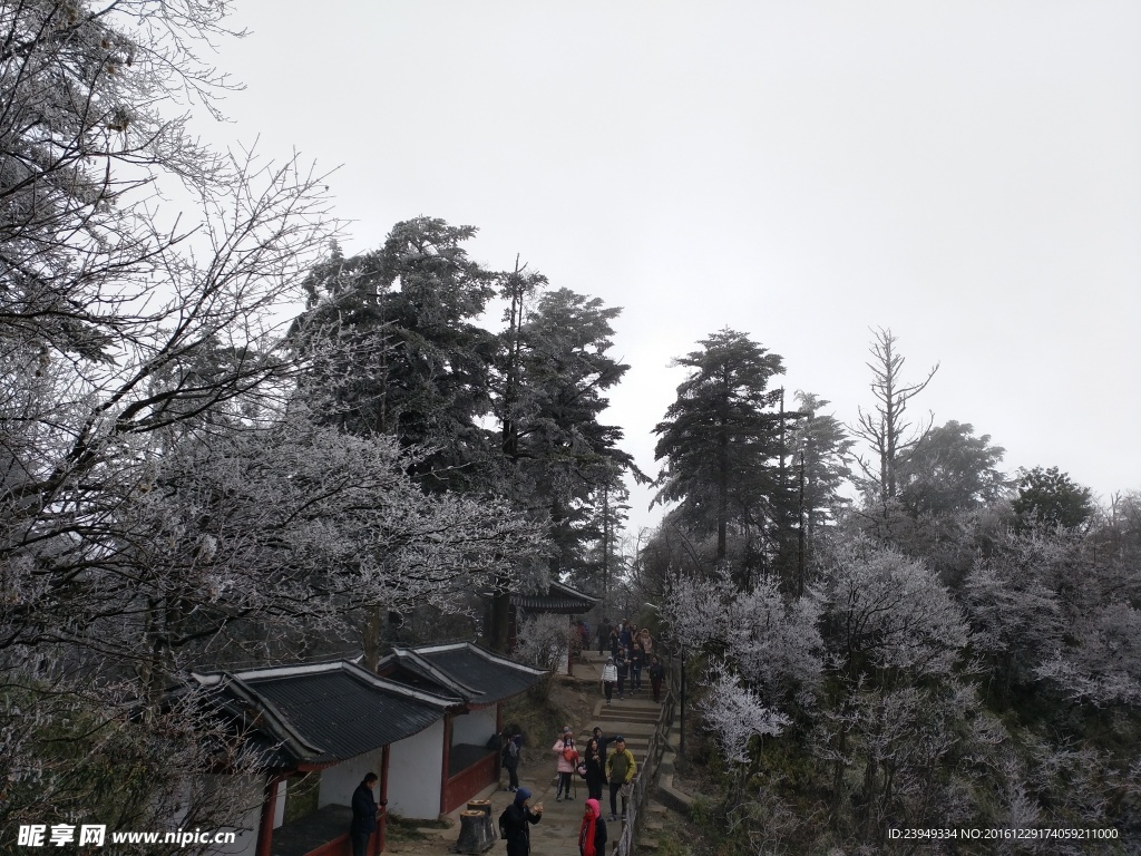 游峨眉山