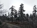 峨眉山