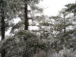 峨眉山