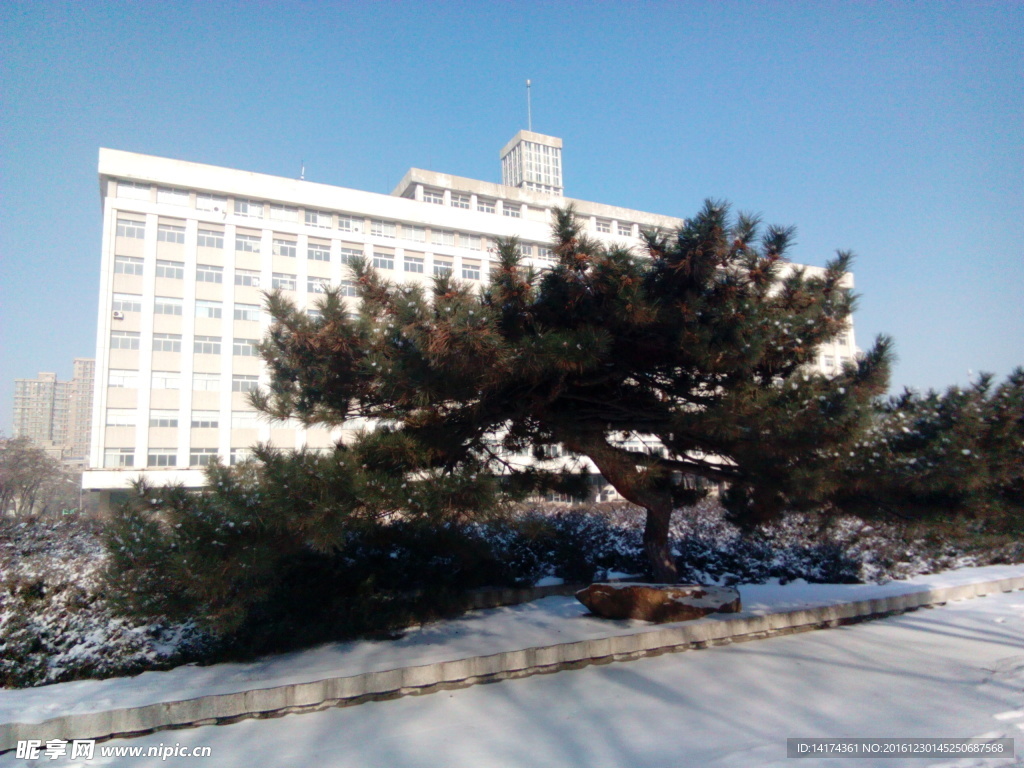 辽宁大学
