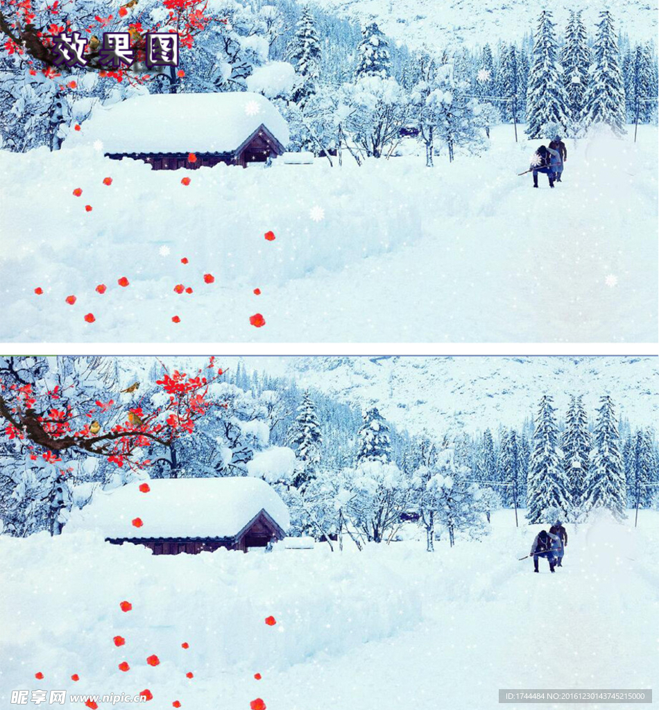 唯美冬天雪景下雪梅花飞鸟视频