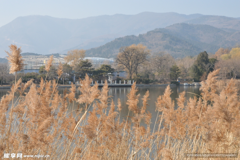 冬日植物园