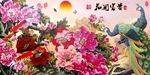 钻石画十字绣花开富贵牡丹孔雀图