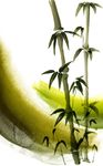 书法五彩水墨笔触背景