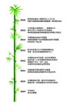 企业发展历程