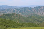 草原