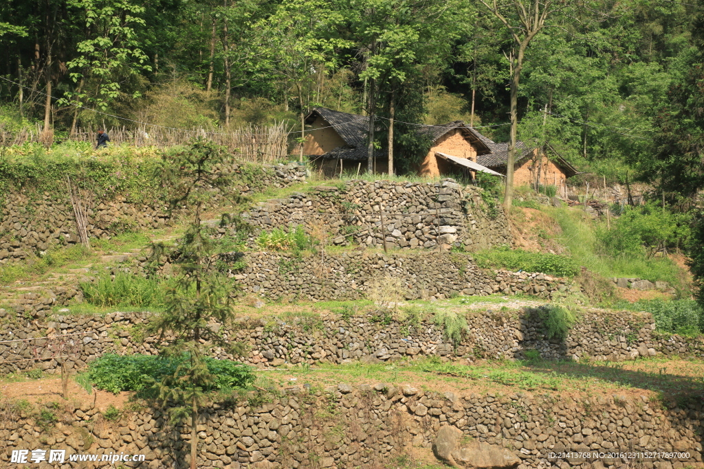 乡村