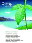 海边树叶