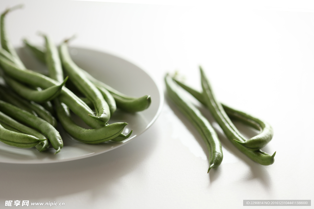 豆荚