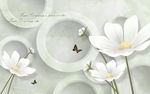 唯美兰花3D圆圈电视背景墙
