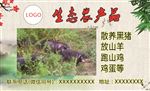 散养黑猪不干胶贴