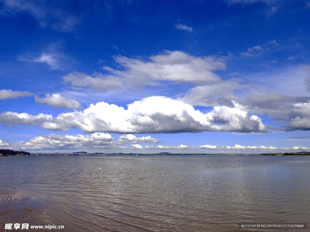 奥克兰海滨风景