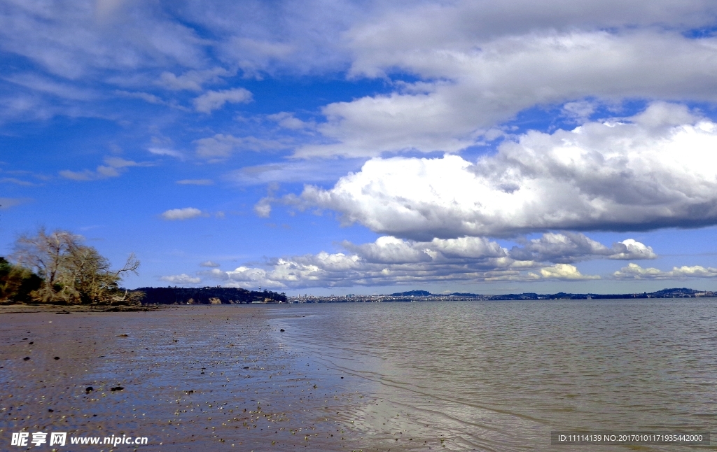 奥克兰海滨风景