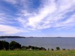 奥克兰海滨风景