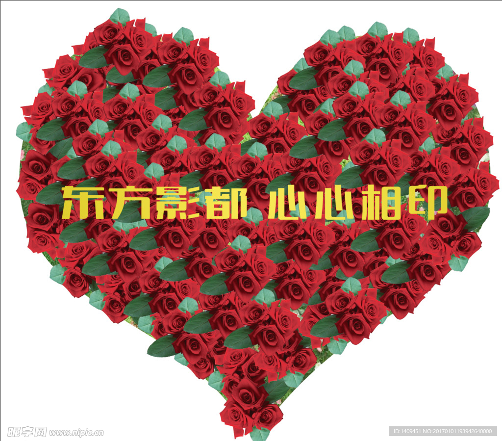 玫瑰花
