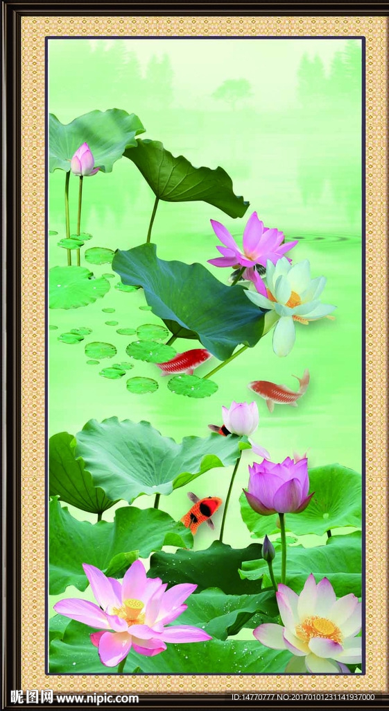 荷花图