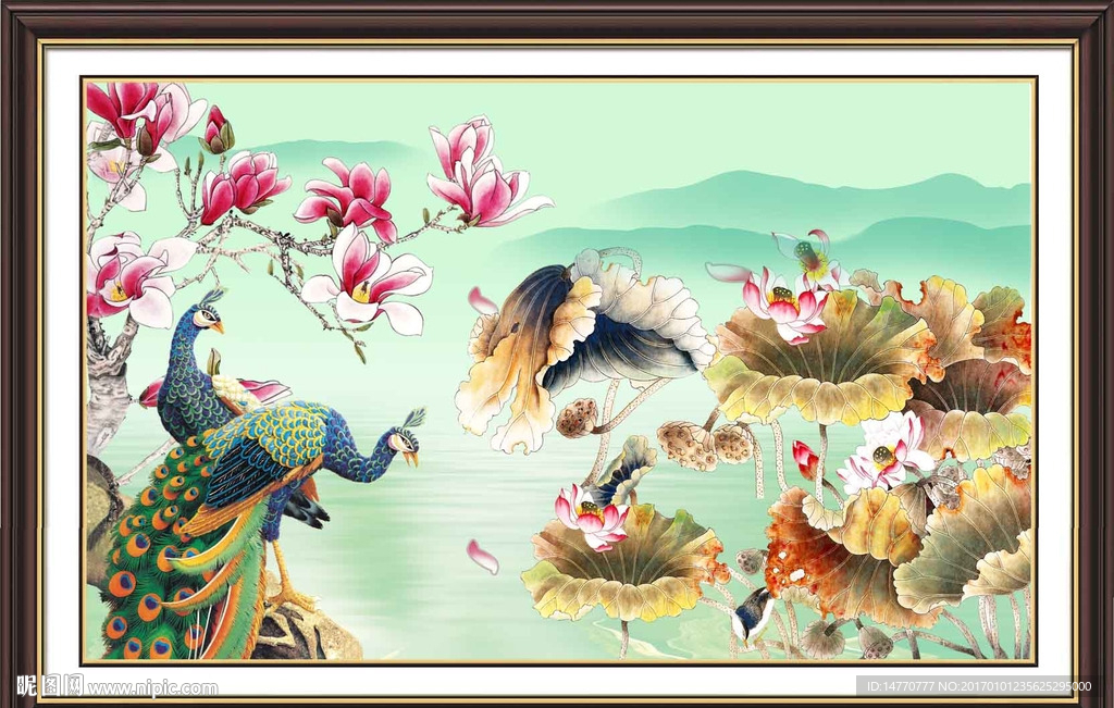 荷花图