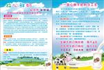 鲜奶吧彩页