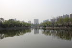 荆河公园